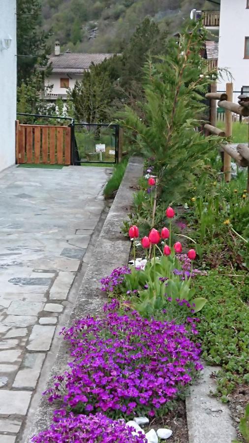 B&B Maison Odille Valtournenche Ngoại thất bức ảnh