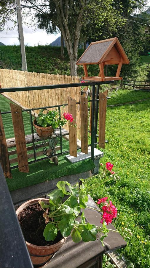 B&B Maison Odille Valtournenche Ngoại thất bức ảnh