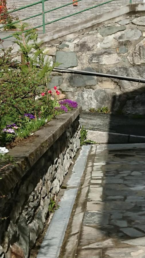 B&B Maison Odille Valtournenche Ngoại thất bức ảnh