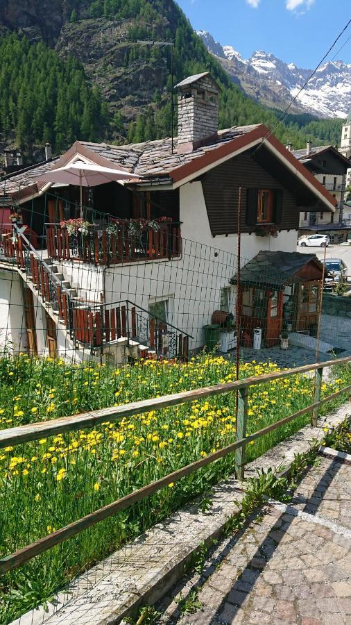 B&B Maison Odille Valtournenche Ngoại thất bức ảnh